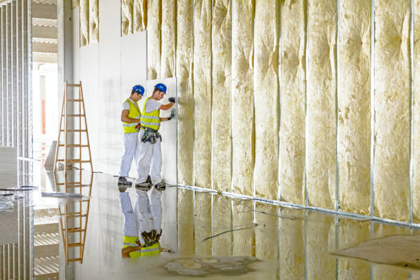 Best Spray Foam Insulation in New Union, TN